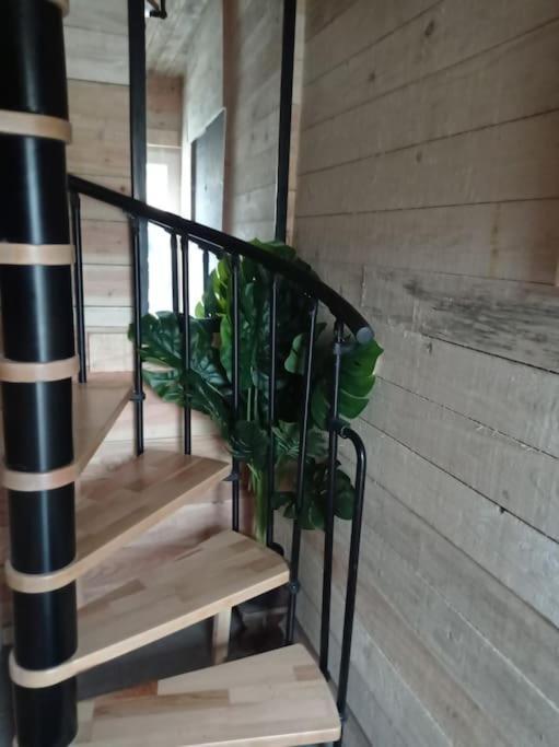 Willa Le P'Tit Nid : Mini Loft Pour 2 A 4 Personnes Tellin Zewnętrze zdjęcie